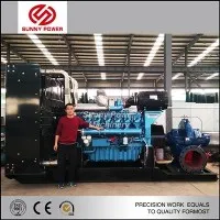 Αντλία εξόρυξης αφυδάτωσης